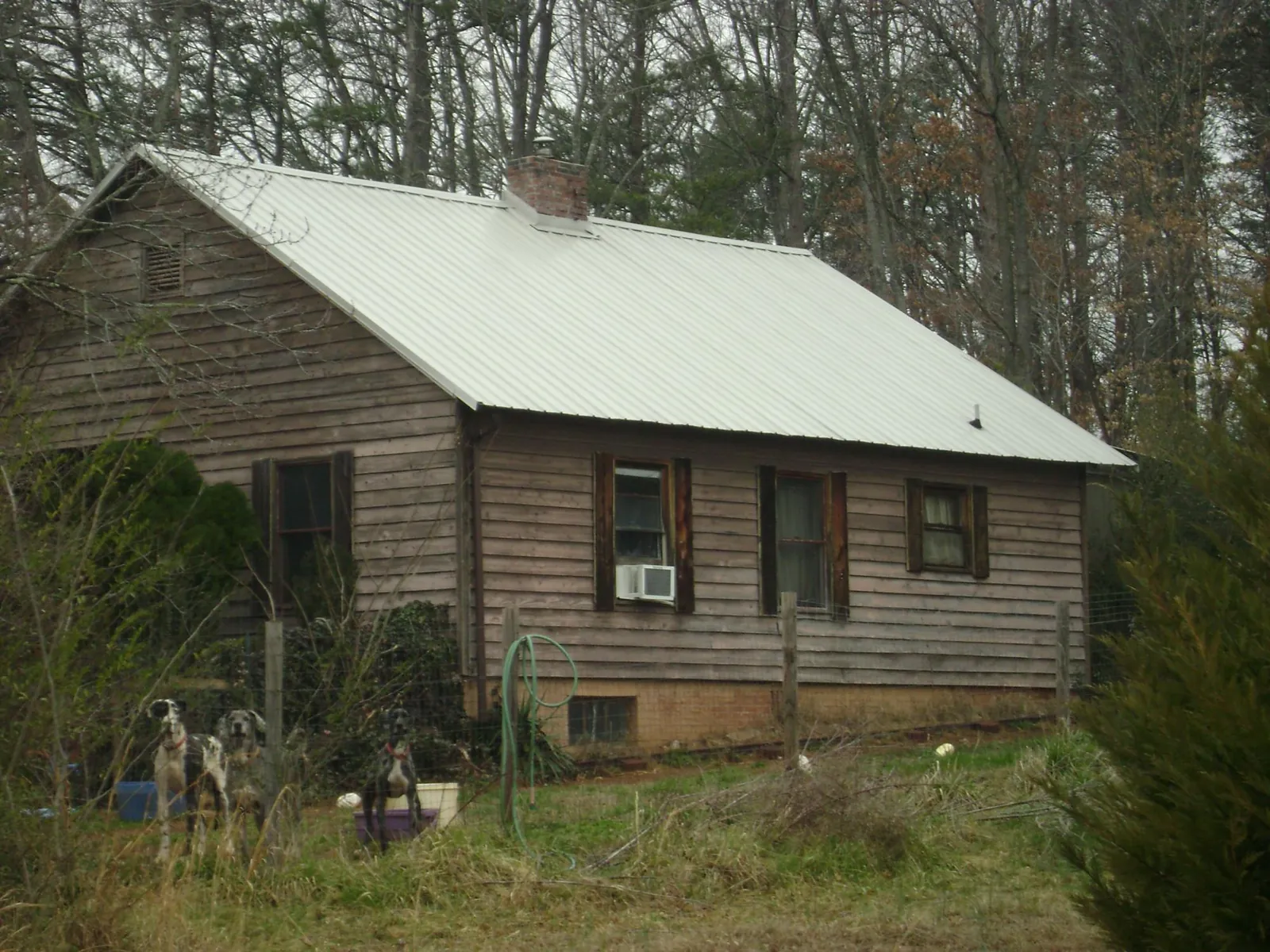 White metal roof on an old wood sided farmhouse, from a Metal Roof Installation job in Gleason